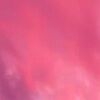 carms_lovebug
